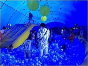 亚洲最大鲸鱼视频,壮丽瞬间捕捉海洋巨兽风采